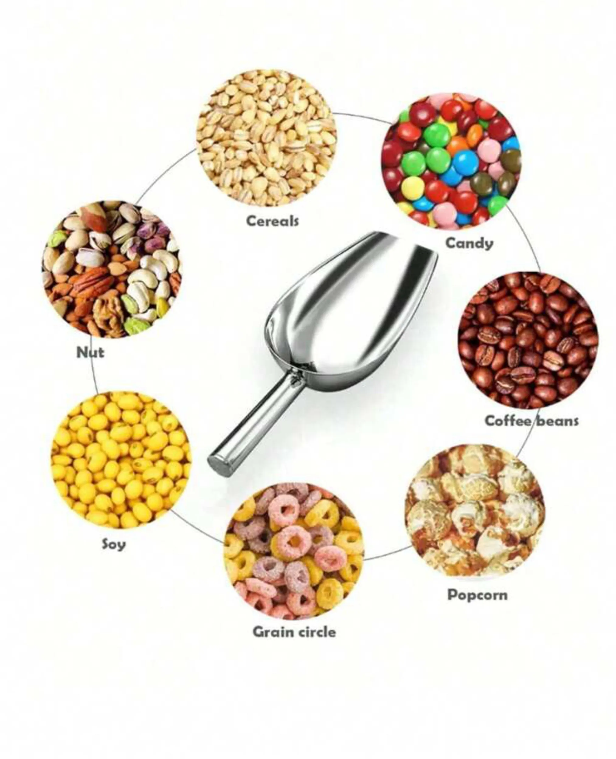 Stainless Steel Multi-Purpose Kitchen Shovel/Scoop