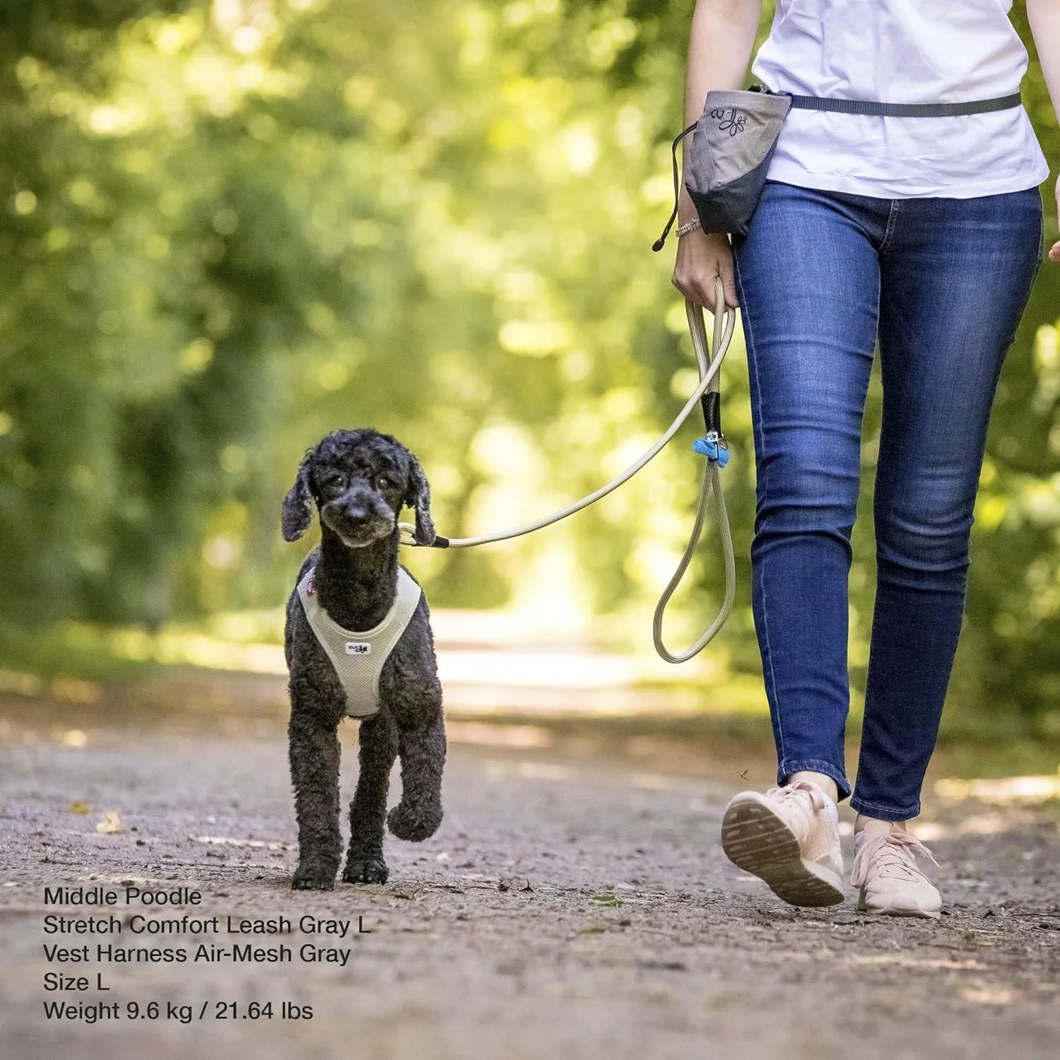 Stretch Comfort Leash Black M