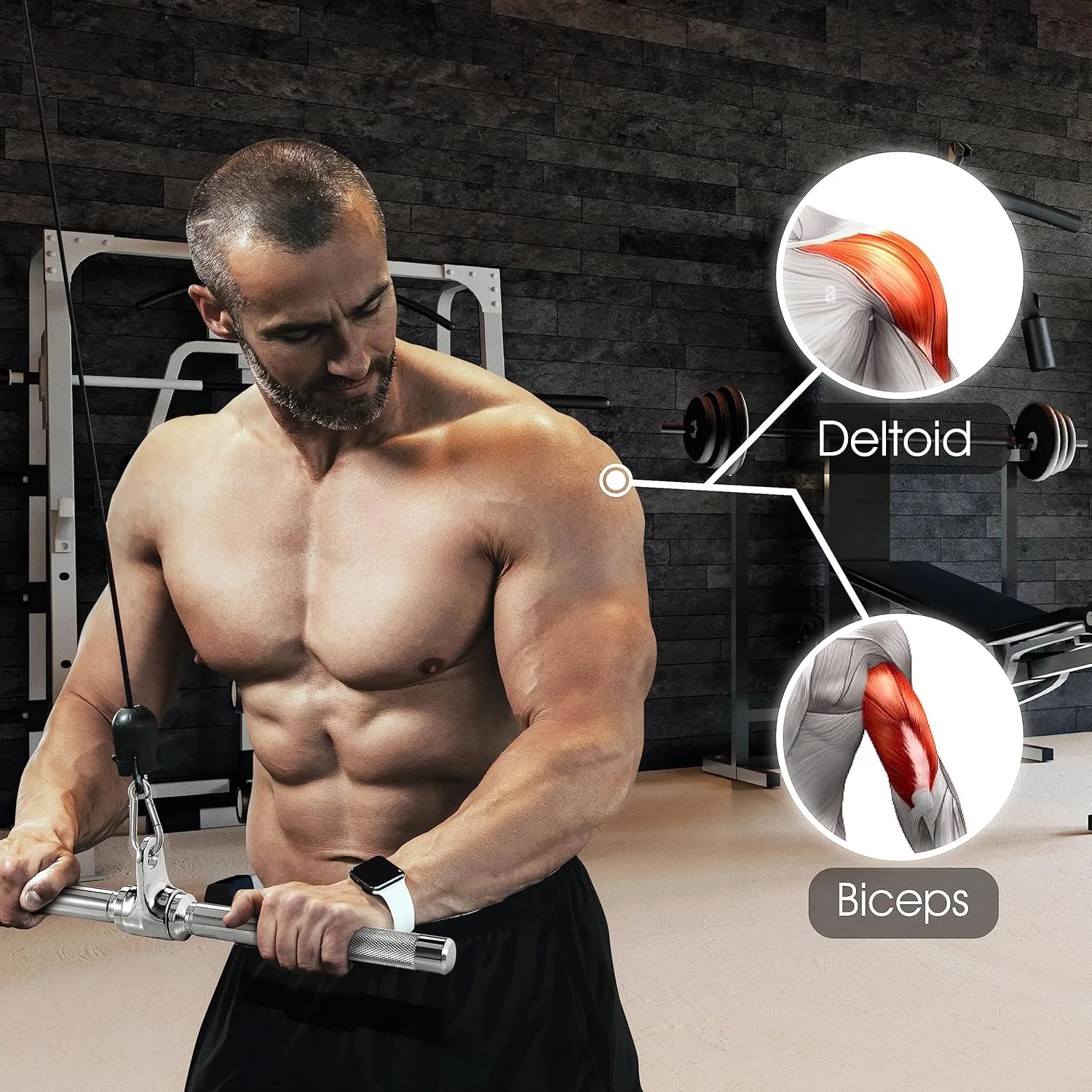 Yes4All Cable Machine Attachment, Tricep Straight Bar, V Bar, LAT Pulldown Attachments/Accessories Load 880lbs for Home Gym